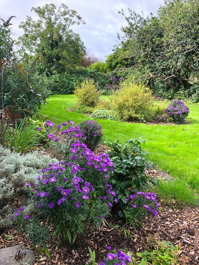 Dingle Garden Townhouse Bed & Breakfast Eksteriør bilde The gardens at the centre