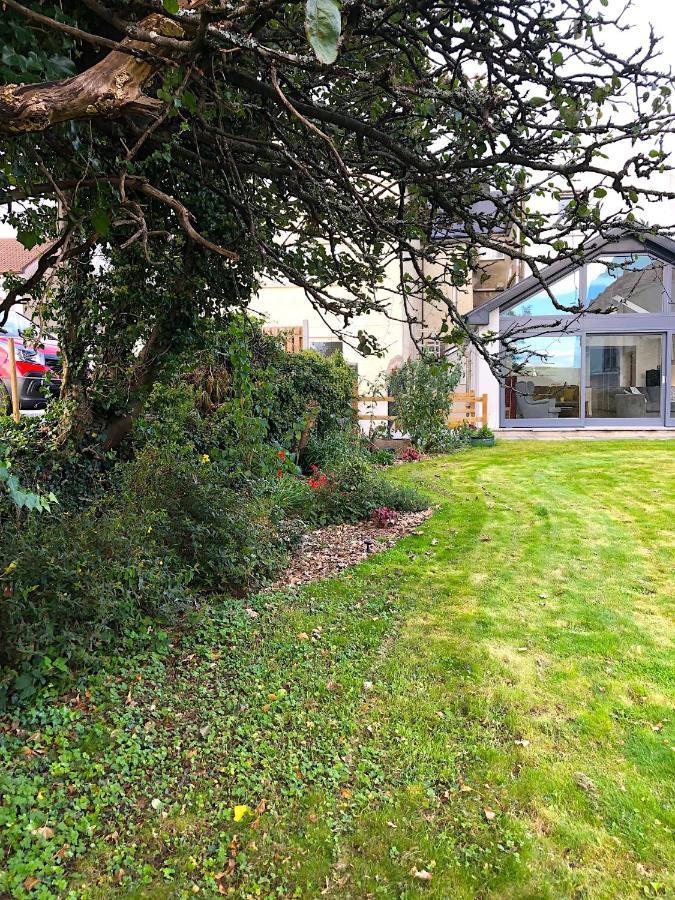 Dingle Garden Townhouse Bed & Breakfast Eksteriør bilde The garden of the house